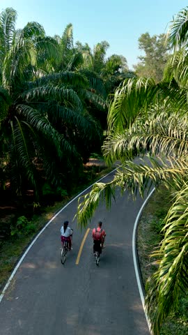 Experience the serene beauty of Chumphon, Thailand while cycling along winding pathways lined with vibrant greenery. Feel the refreshing breeze and immerse yourself in natures splendor.