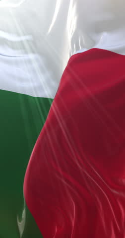 Flag of Madagascar. 4K Vertical. Loop