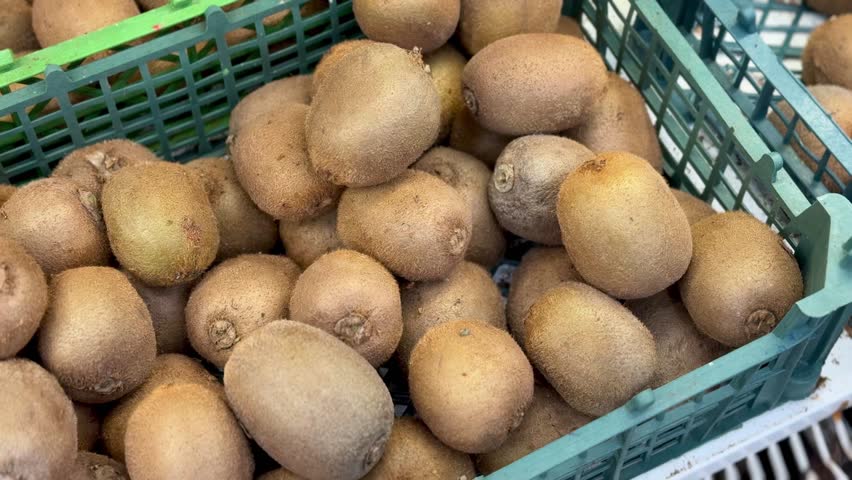 Ripe juicy selected kiwis are sold in plastic boxes by weight in an elite supermarket. Close-up