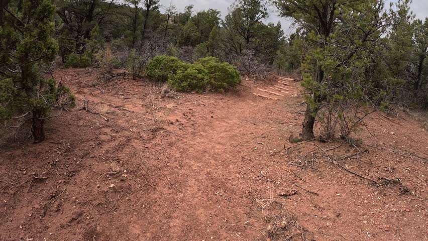 Hiking the La Verkin trail on the backside of Zions National Park