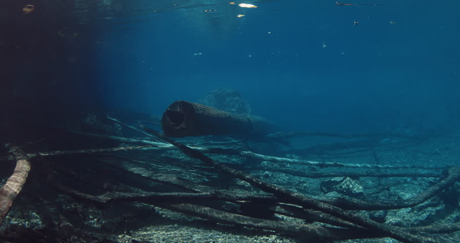Underwater landscape in blue crystal lake with sunken wooden logs. Most transparent Paisu pok lake in Indonesia. 