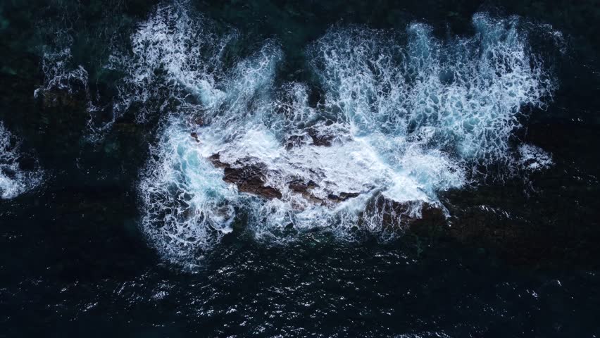 Shutterstock Video
