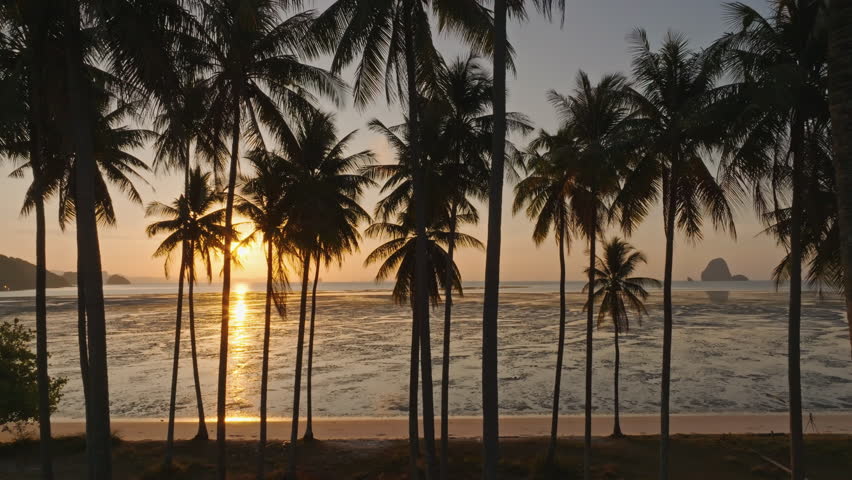 Aerial view drone flying through coconut palm trees to the sea, Laem Had beach, Koh Yao Yai, Thailand