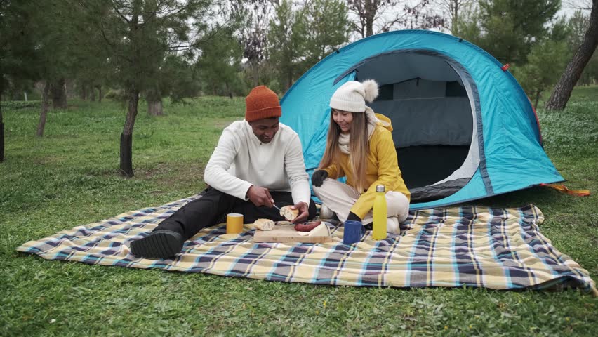 Young multi ethnic couple preparing food during camping picnic