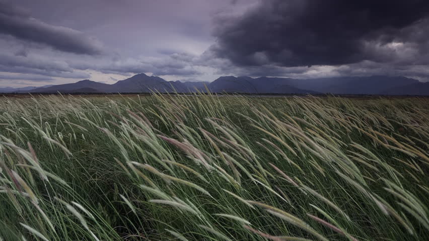 Dark moody landscape: storm clouds over wind blown grass, mountains