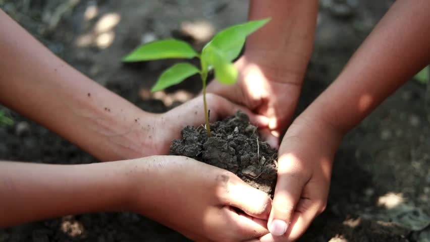 Two boys plant a young tree together, symbolizing environmental conservation. The concept of saving the earth, saving the world, and protecting our planet for a green future.