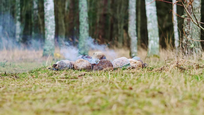 Faint smoke rises from a burned-out campfire, birch trees in a peaceful woodland