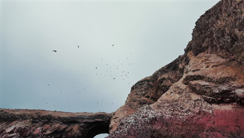 A group of birds flying randomly over the rocks of the Ballestas Islands in the Pacific Ocean, Peru.