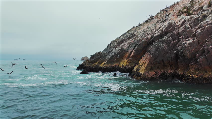 View from a boat of the Ballestas Islands with numerous birds and beautiful rocky landscapes.