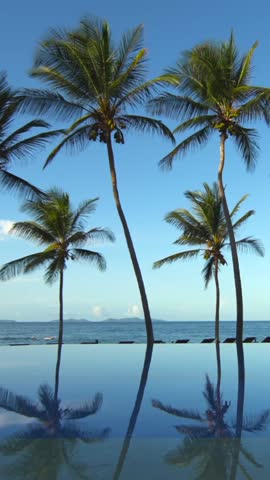 Vertical luxury swimming infinity pool at sunset. Beautiful reflection of coconut palm trees on the surface of calm water