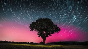 Aurora Borealis, rotating Star Trails and moving clouds behind the Silhouette of a Tree at night
 - Powered by Shutterstock - Get 15% off with code: PIKWIZARD15