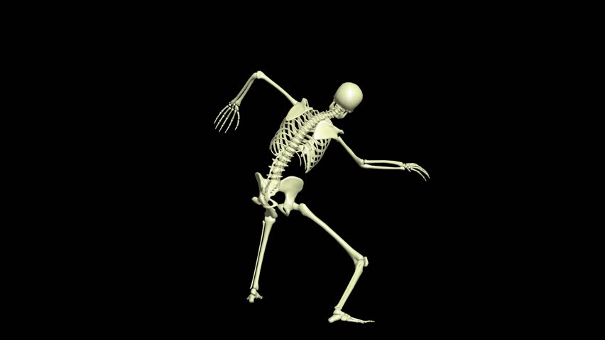 Shutterstock Video
