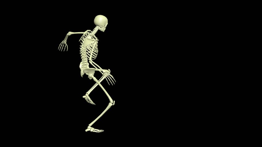Shutterstock Video
