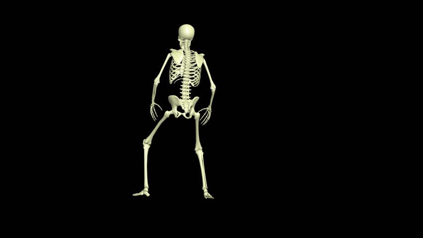 Shutterstock Video