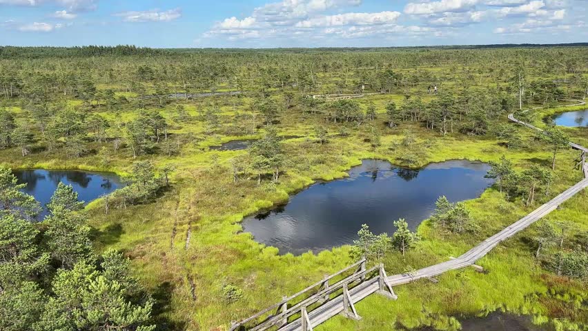 Aerial view of the landscape with the lakes and the swamps and with a wooden path leading through them in Kemeru National Park near Jurmala, Latvia