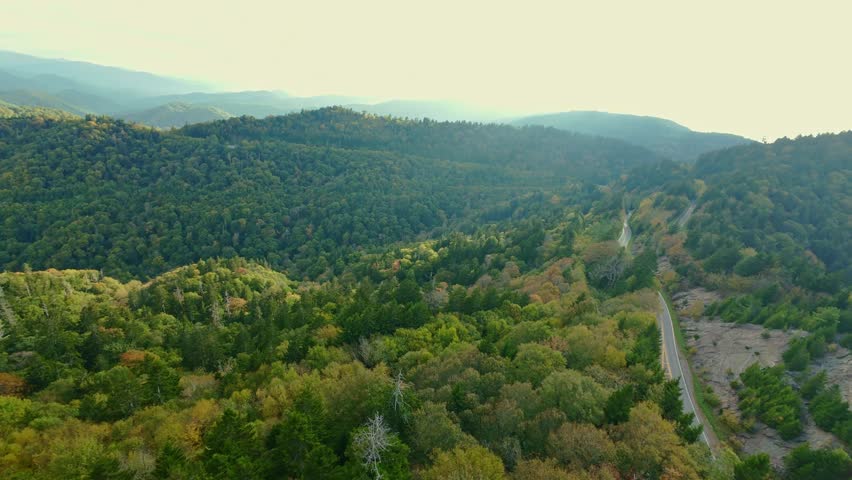Lush Aerial View of Smoky Mountains, USA Captivating drone shot of Smoky Mountains, showcasing dense green forests, rolling hills, and winding road in scenic landscape