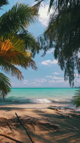 Beautiful Tropical beach with scenery coconut palm tree and crystal clear ocean water on nature background 4K