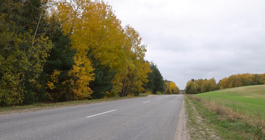 asphalt road on the side of which maple trees grow in the autumn season, a beautiful autumn road with falling maple leaves in cloudy weather