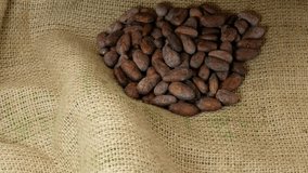 Cocoa beans on the food-grade jute cloth. Transportation of cocoa beans. Cocoa beans price.  - Powered by Shutterstock - Get 15% off with code: PIKWIZARD15