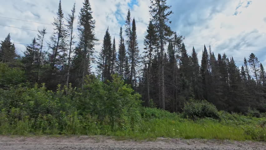 Beautiful summer side view of gravel road and forest through Canadian forests. Scenic passenger POV side plate travel by camper van. Driving plate road trip along dirt road from motorized RV, Canada.