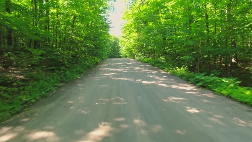 Beautiful summer view of gravel road weaving through Canadian forests. Scenic passenger POV back plate while travel by camper van. Driving plate road trip along dirt road from motorized RV, Canada.