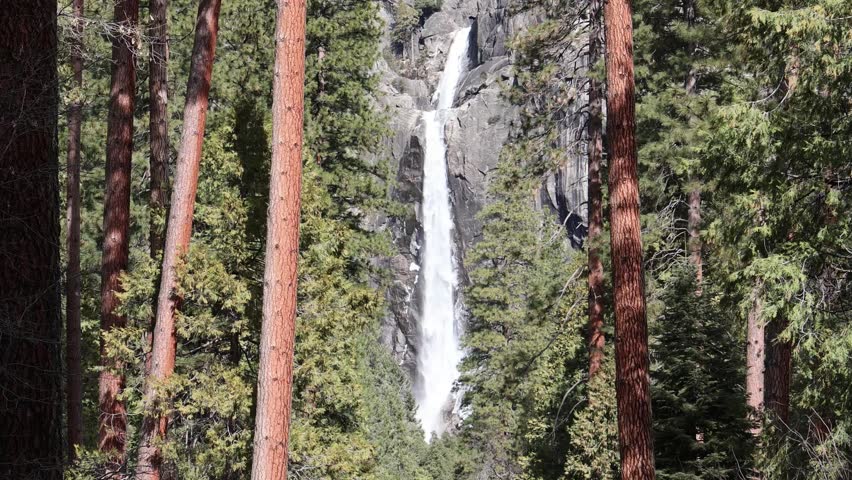 Yosemite Falls viewed through the woods