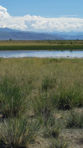 Vertical video of Altai natural landscape in the Chuya steppe. In the foreground is a steppe. In the lake reflection of mountains, sky and clouds. In the background are mountains of Kurai mountains