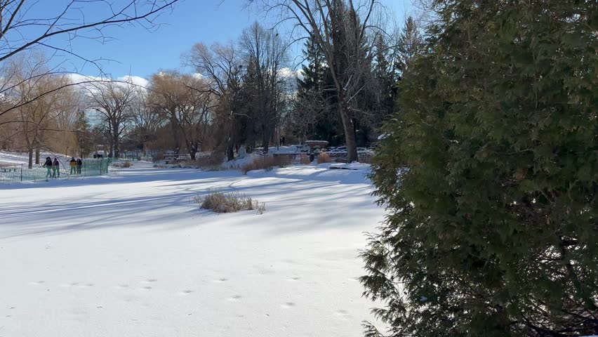 A winter scene in a snow-covered park featuring leafless trees, evergreens, people walking, clear blue sky, and sunshine