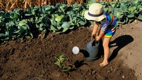 Child plants a tree in the soil. Selective focus. - Powered by Shutterstock - Get 15% off with code: PIKWIZARD15