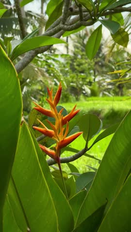 A lush tropical paradise adorned with string lights, creating a magical ambiance.