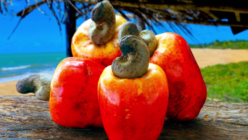 Cashew, caju, a fruit native to Brazil, Brazil nut