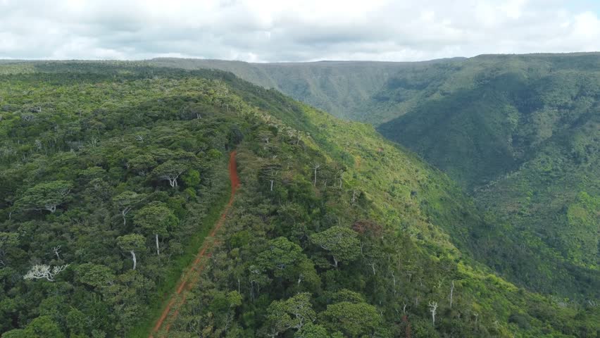 Stunning view of Black River Gorges National Park in Mauritius, featuring endemic trees in the background	

