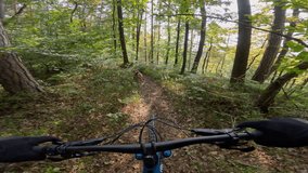 POV: Mountain biker riding down a lush forest trail with a loyal dog running ahead. Sunlight filters through the green trees as mtb rider navigates the winding singletrack with speed and precision. - Powered by Shutterstock - Get 15% off with code: PIKWIZARD15