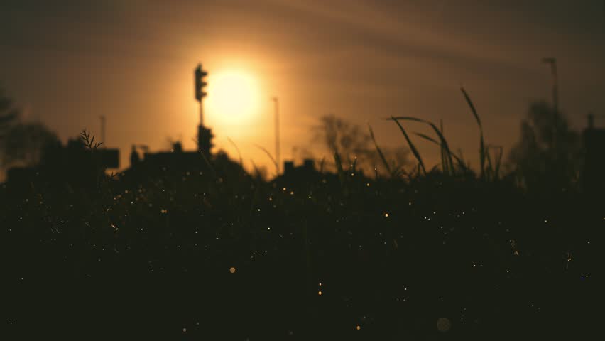 Silhouetting car and traffic light against rising sun. Faint light traffic with car outline at morning. Outlining automobile and stop signal against glowing sunrise