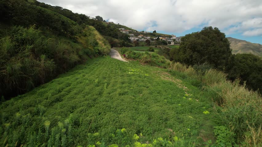 Aerial view over green hills leading towards a residential area in the distance