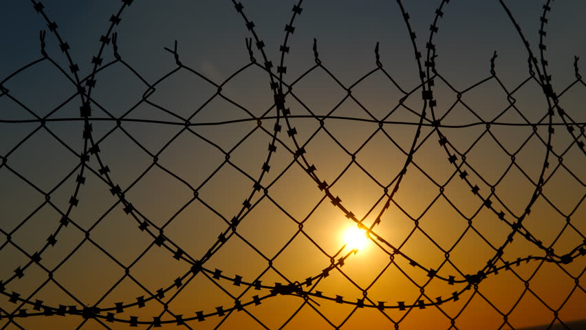 Refugee's hand on barbed wire. Hand silhouetted against golden sunset light, gripping barbed wire fence, representing struggle for freedom, human rights, and hope amid refugee crisis
