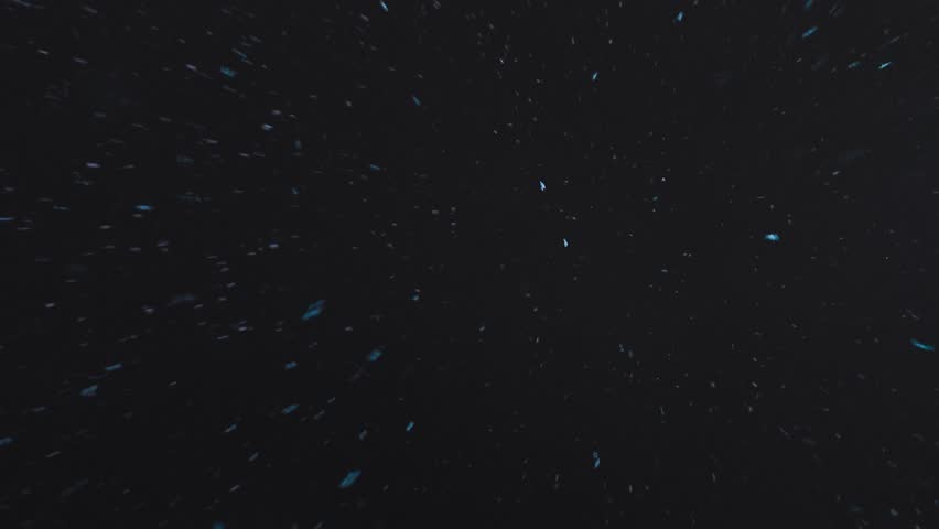 Real Snow flake - cyan color grading - 4K - night - moving towards lens