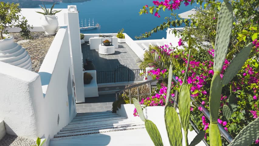 White architecture in Santorini island, Greece. Beautiful terrace with blooming pink flowers. Blue sea and the blue sky at sunny day. Travel and summer vacation concept. 
