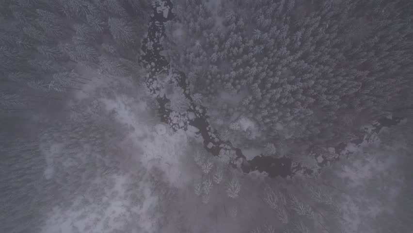 Descending overhead aerial drone view, frozen snow covered river and forest trees