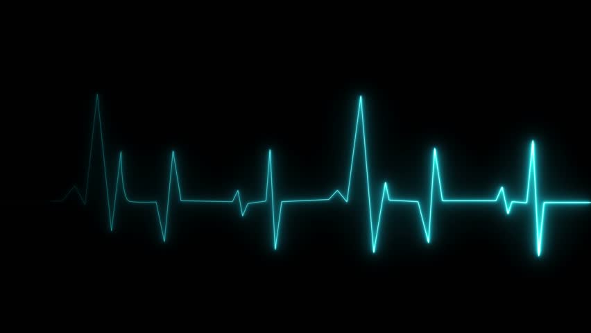 Shutterstock Video