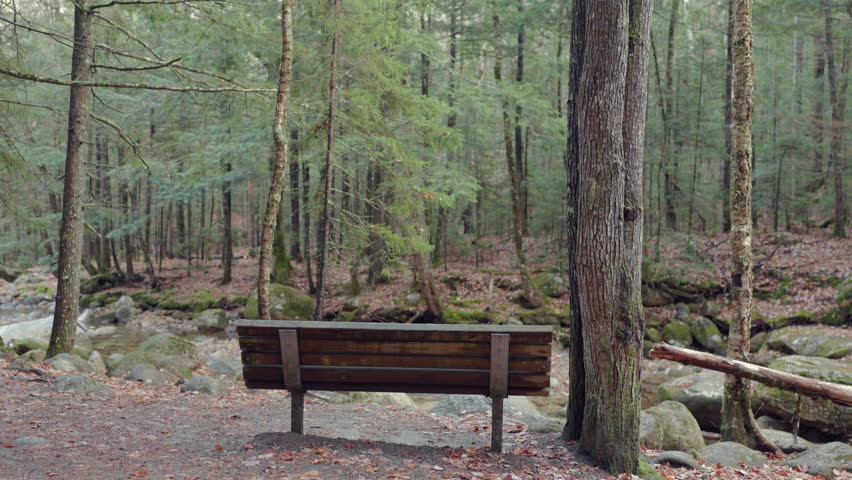 Crawford Notch Park in New Hampshire offers stunning autumn foliage, a rustic wooden bench for resting, and a serene stream, all surrounded by lush trees, New Hampshire, USA