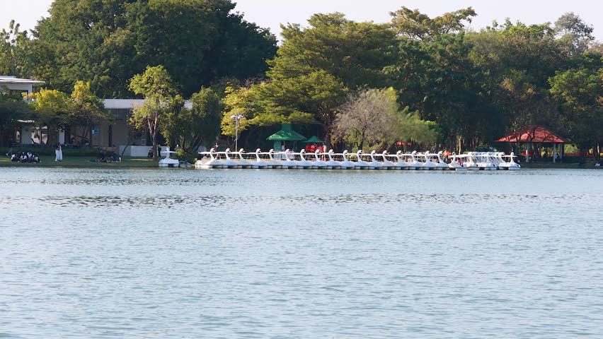 Serene lake view with paddle boats