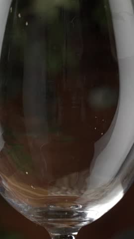 Wine pouring glass. Tasting and drinking red wine. Vertical video
