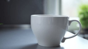 Warm steam curling from white ceramic mug, soft window backdrop featuring blurred green leaves, creating serene morning kitchen ambiance - Powered by Shutterstock - Get 15% off with code: PIKWIZARD15