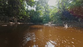 Dense foliage bordering narrow, shadowy river while wooden canoe drifting through Amazon Rainforest, creating gentle water ripples during scenic tourist expedition - Powered by Shutterstock - Get 15% off with code: PIKWIZARD15