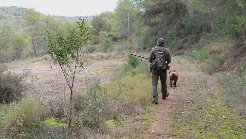 Hunter walking on path with shotgun and dog