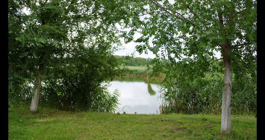 Calm water reflecting clouds surrounded by lush greenery in a serene natural setting