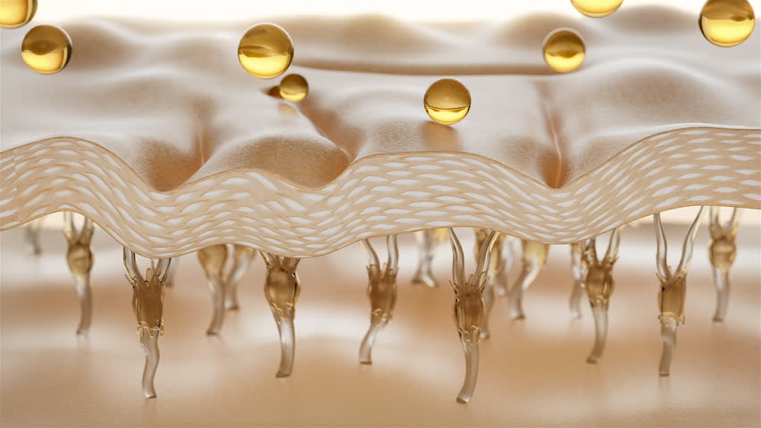 cosmetic skin cells Essence Essence Ball Molecules Cell repair