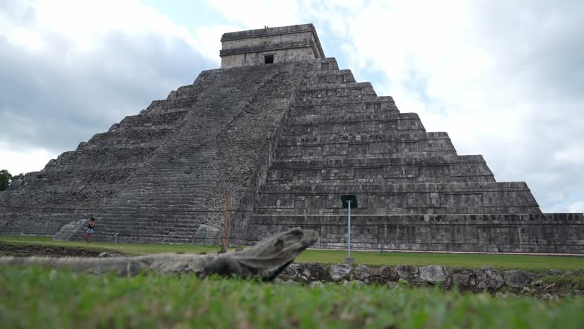 Detailed close-up of an iguana resting on the grass in front of the famous El Castillo pyramid at Chichen Itza, Mexico.