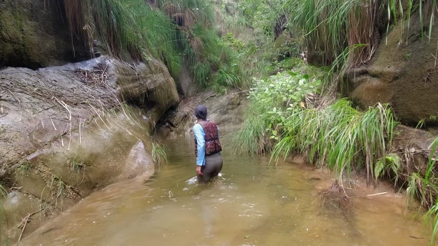 Latina adventurer exploring muddy jungle river canyon, dives into water